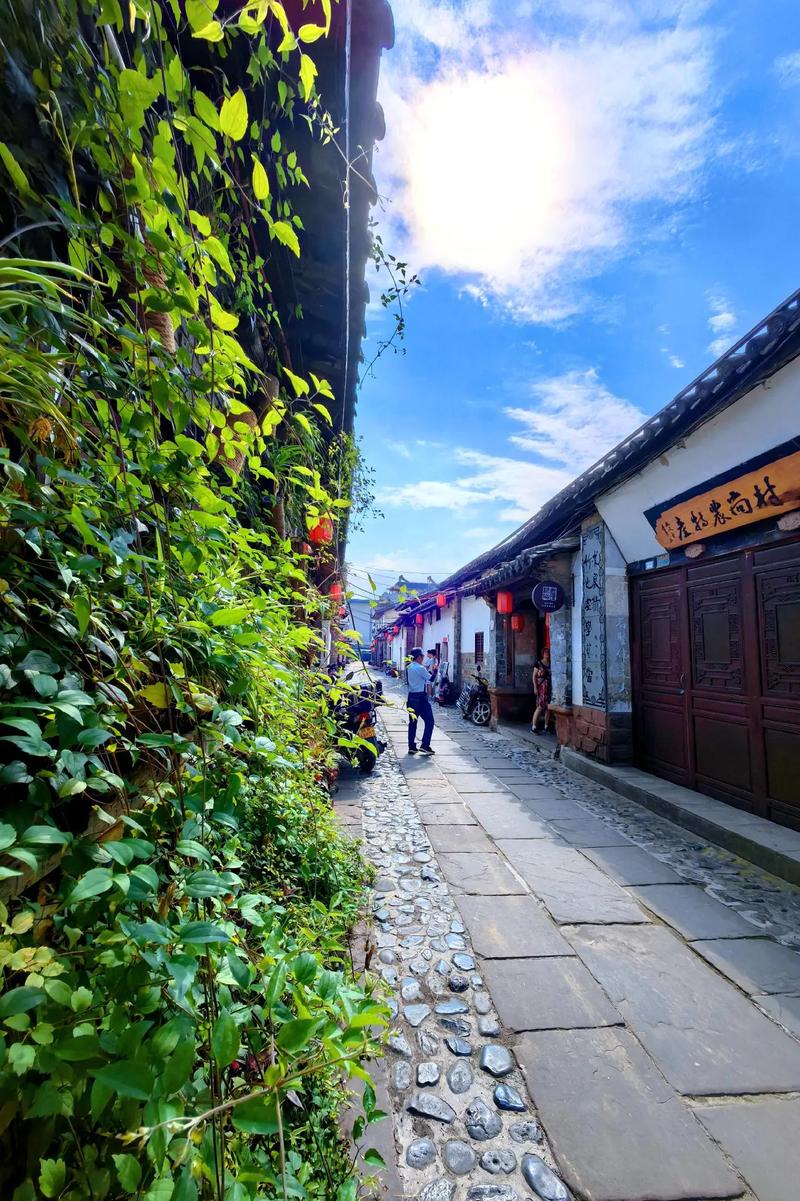 会理特色菜：一道鲜香美食的旅程
